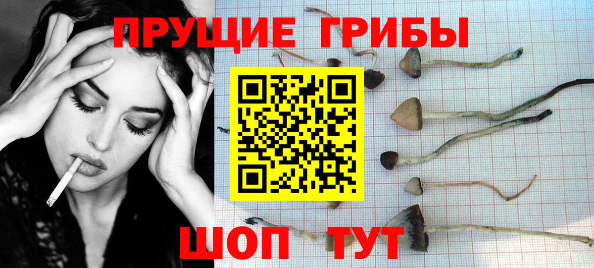 Галлюциногенные грибы Cubensis Бутурлиновка